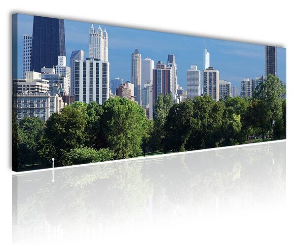 70x40 cm - NY Central Park vászonkép