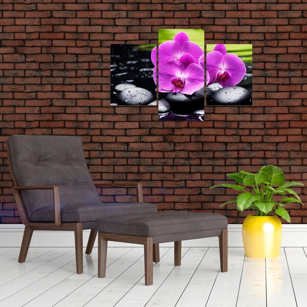 Kép - Orchideák (90x60 cm)