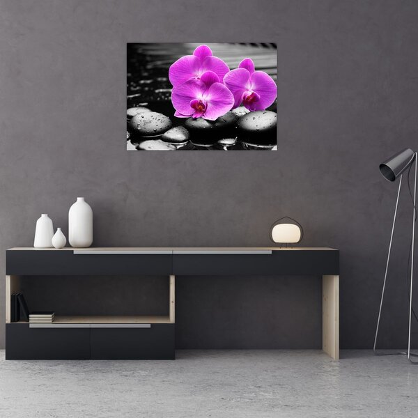 Kép - Lila orchideák (70x50 cm)