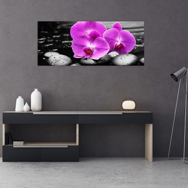 Kép - Lila orchideák (120x50 cm)