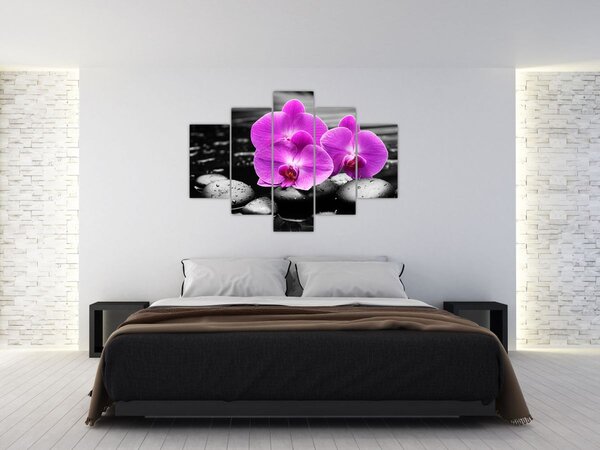 Kép - Lila orchideák (150x105 cm)