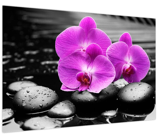 Kép - Lila orchideák (90x60 cm)