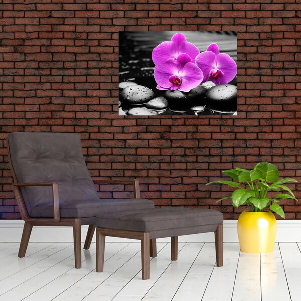 Kép - Lila orchideák (70x50 cm)