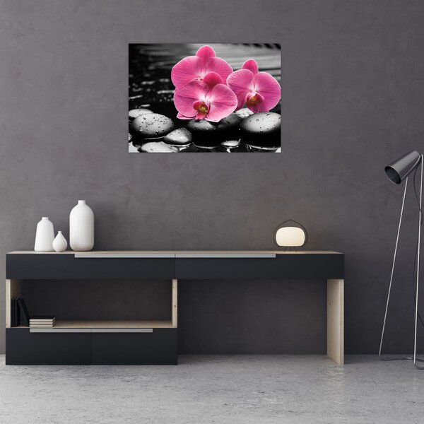 Kép - Rózsaszín orchideák (70x50 cm)