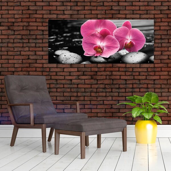 Kép - Rózsaszín orchideák (120x50 cm)