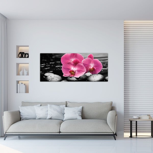 Kép - Rózsaszín orchideák (120x50 cm)