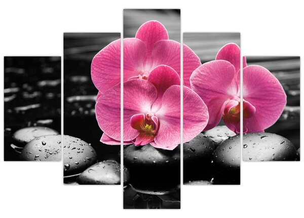 Kép - Rózsaszín orchideák (150x105 cm)