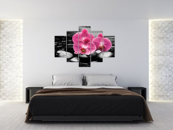 Kép - Rózsaszín orchideák (150x105 cm)