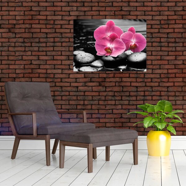 Kép - Rózsaszín orchideák (70x50 cm)