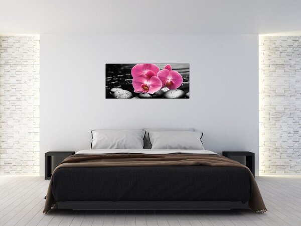 Kép - Rózsaszín orchideák (120x50 cm)