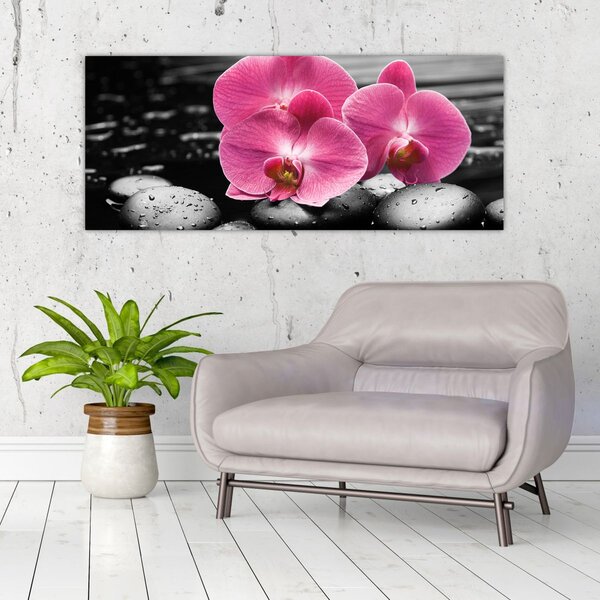 Kép - Rózsaszín orchideák (120x50 cm)