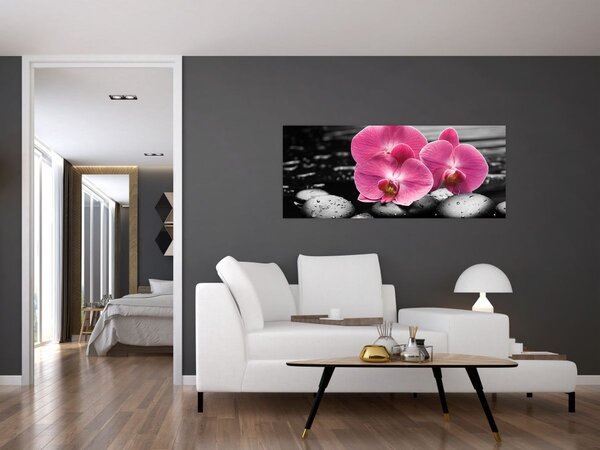 Kép - Rózsaszín orchideák (120x50 cm)