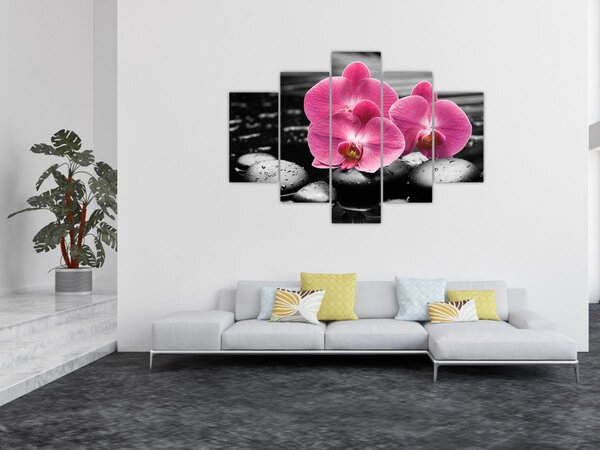 Kép - Rózsaszín orchideák (150x105 cm)