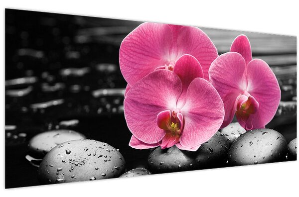 Kép - Rózsaszín orchideák (120x50 cm)