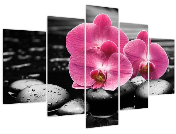 Kép - Rózsaszín orchideák (150x105 cm)