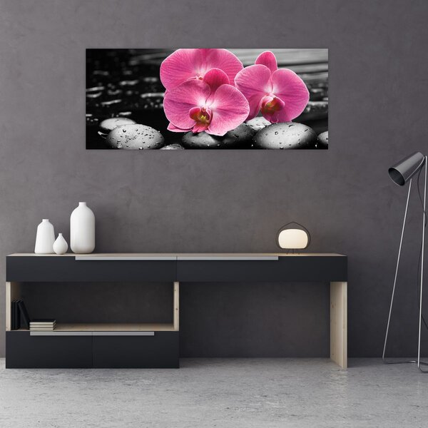 Kép - Rózsaszín orchideák (120x50 cm)