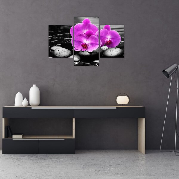 Kép - Lila orchideák (90x60 cm)