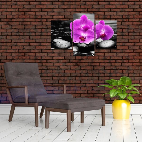 Kép - Lila orchideák (90x60 cm)