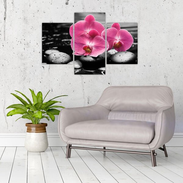 Kép - Rózsaszín orchideák (90x60 cm)