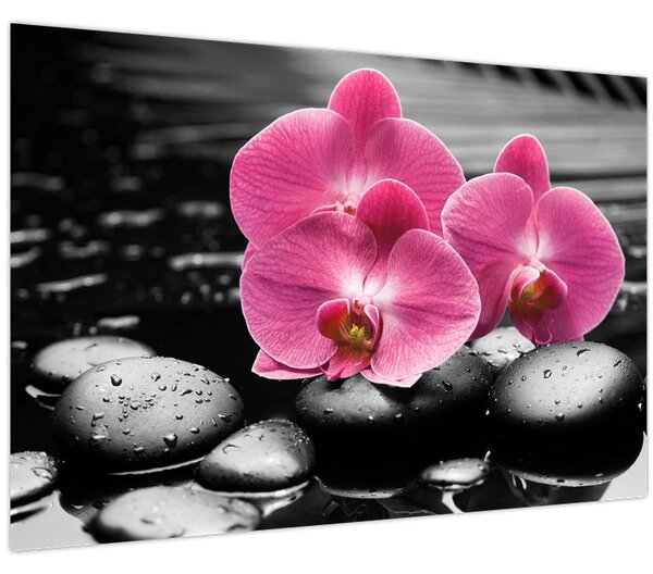 Kép - Rózsaszín orchideák (90x60 cm)