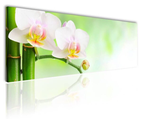 70x40 cm - Spa bambusz orchidea vászonkép