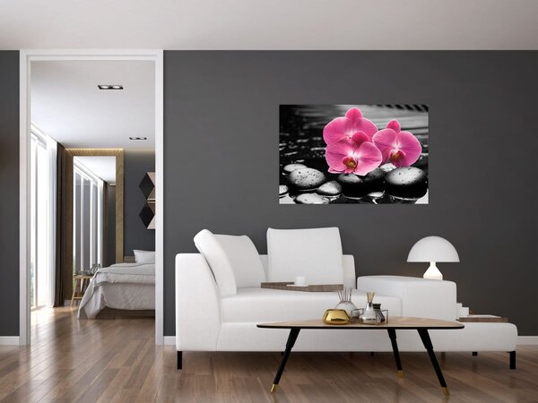 Kép - Rózsaszín orchideák (90x60 cm)
