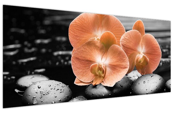 Kép - Narancssárga orchideák (120x50 cm)