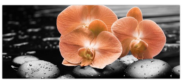 Kép - Narancssárga orchideák (120x50 cm)