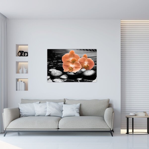 Kép - Narancssárga orchideák (90x60 cm)