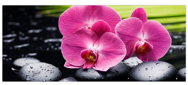 Kép - Rózsaszín orchidea pálmalevéllel (120x50 cm)