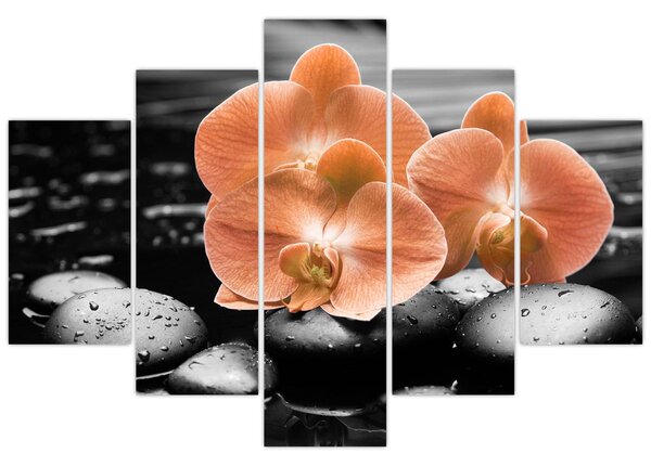 Kép - Narancssárga orchideák (150x105 cm)