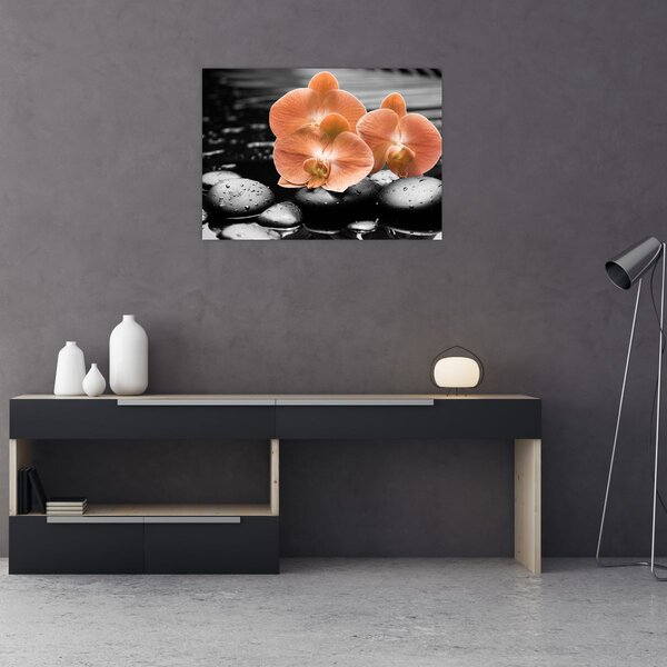 Kép - Narancssárga orchideák (70x50 cm)