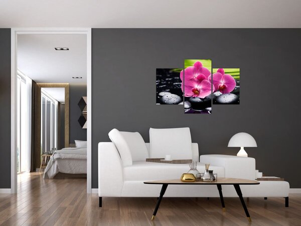 Kép - Rózsaszín orchidea pálmalevéllel (90x60 cm)