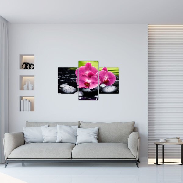 Kép - Rózsaszín orchidea pálmalevéllel (90x60 cm)