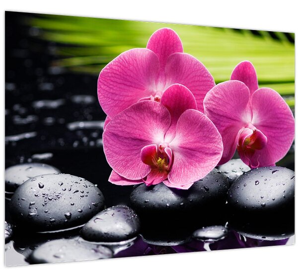 Kép - Rózsaszín orchidea pálmalevéllel (70x50 cm)