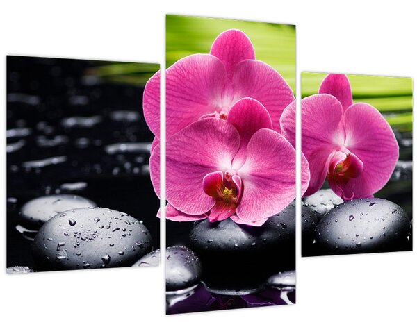 Kép - Rózsaszín orchidea pálmalevéllel (90x60 cm)