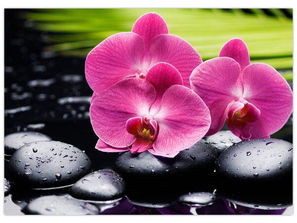 Kép - Rózsaszín orchidea pálmalevéllel (70x50 cm)
