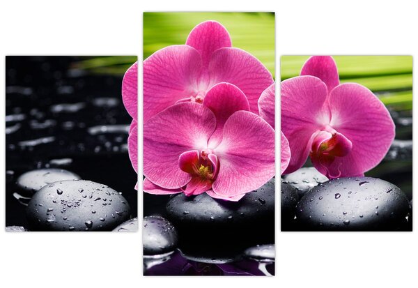 Kép - Rózsaszín orchidea pálmalevéllel (90x60 cm)