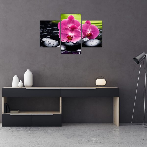 Kép - Rózsaszín orchidea pálmalevéllel (90x60 cm)