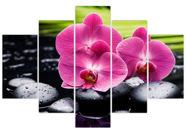 Kép - Rózsaszín orchidea pálmalevéllel (150x105 cm)