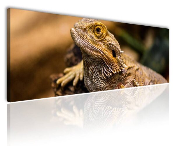 70x40 cm - Lizard vászonkép