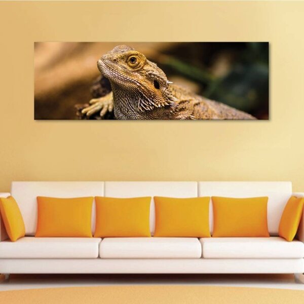 70x40 cm - Lizard vászonkép