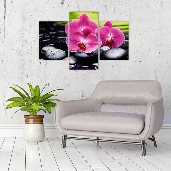 Kép - Rózsaszín orchidea pálmalevéllel (90x60 cm)