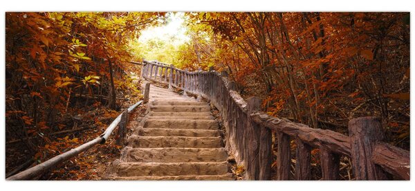 Kép - Lépcsők a természetben ősszel (120x50 cm)