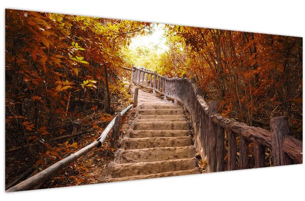 Kép - Lépcsők a természetben ősszel (120x50 cm)