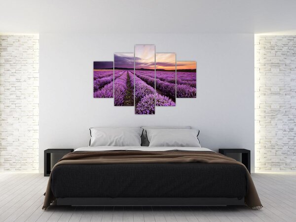 Kép - Levendulamező naplementében (150x105 cm)