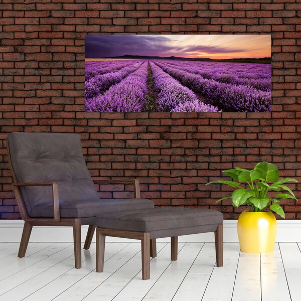 Kép - Levendulamező naplementében (120x50 cm)