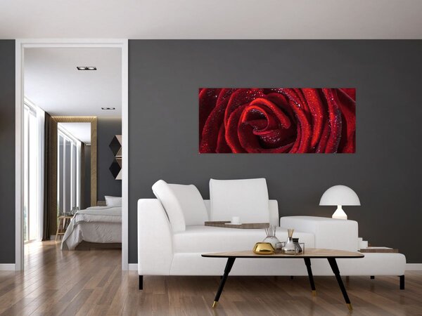 Kép - Vörös rózsa harmatcseppekkel (120x50 cm)