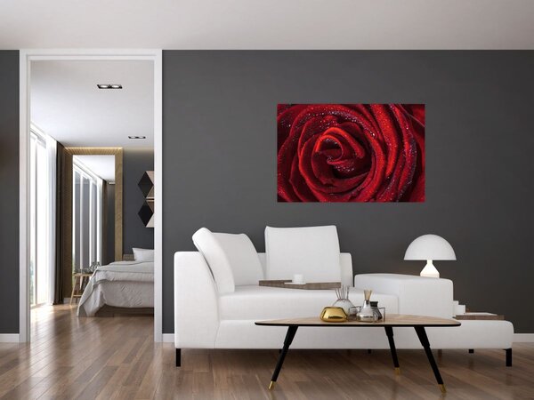 Kép - Vörös rózsa harmatcseppekkel (90x60 cm)