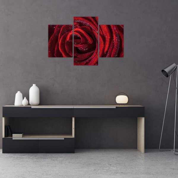 Kép - Vörös rózsa harmatcseppekkel (90x60 cm)